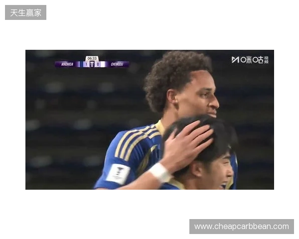 成都蓉城2-3町田泽维亚,感谢大年初一远赴客场的200多位球迷们 成都蓉城2-3町田泽维亚,感谢大年初一远赴客场的200多位球迷们